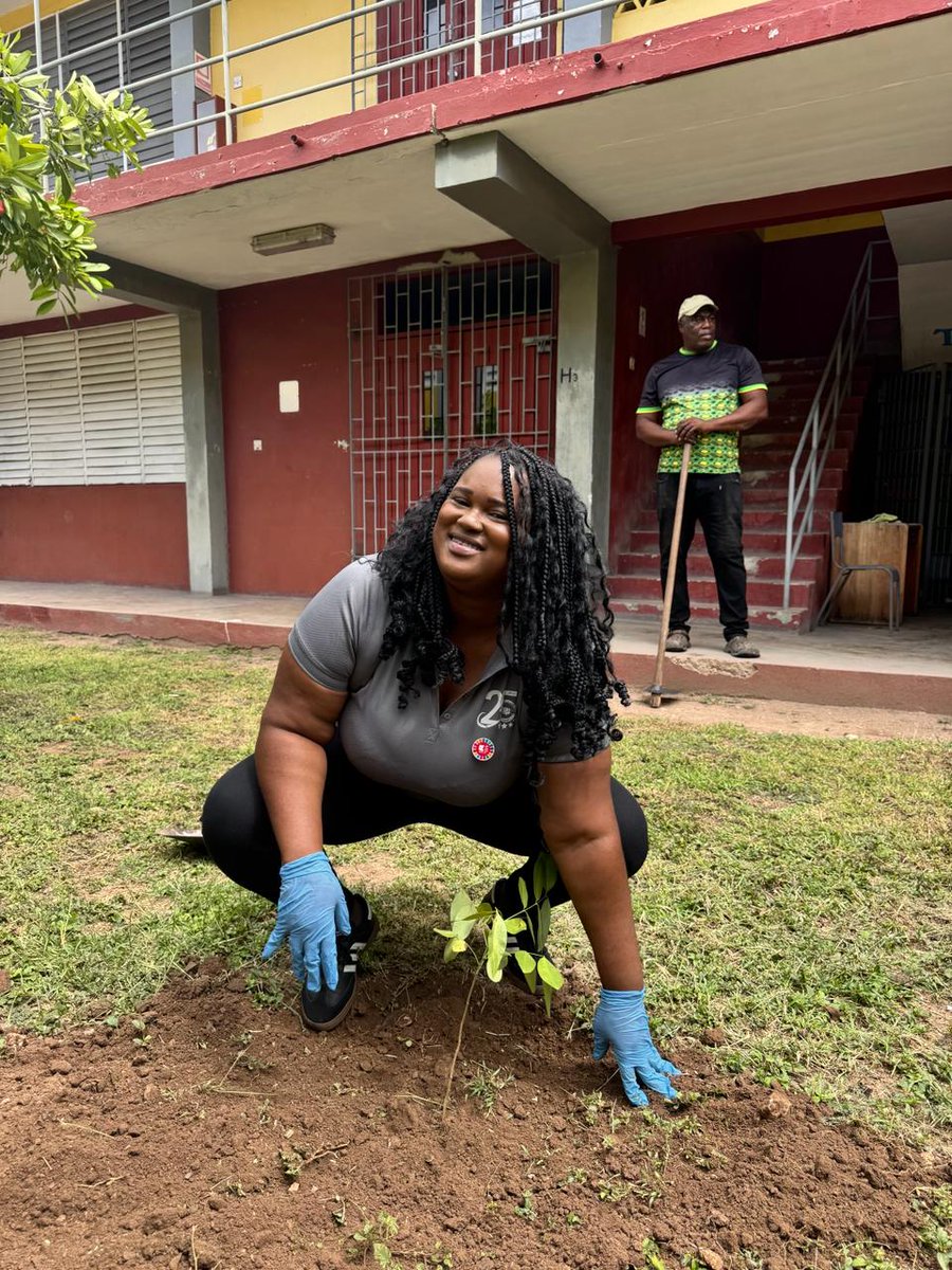 The Council of Community Colleges of Jamaica tweet media