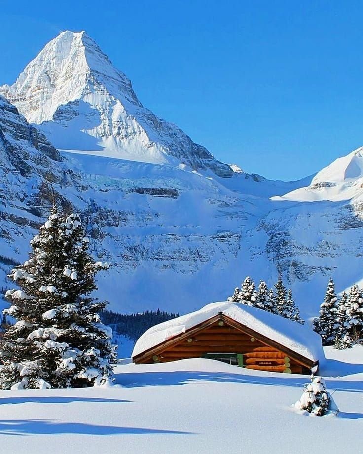 Qᵁᴬᴿᴱˢᴹᴬ tweet media