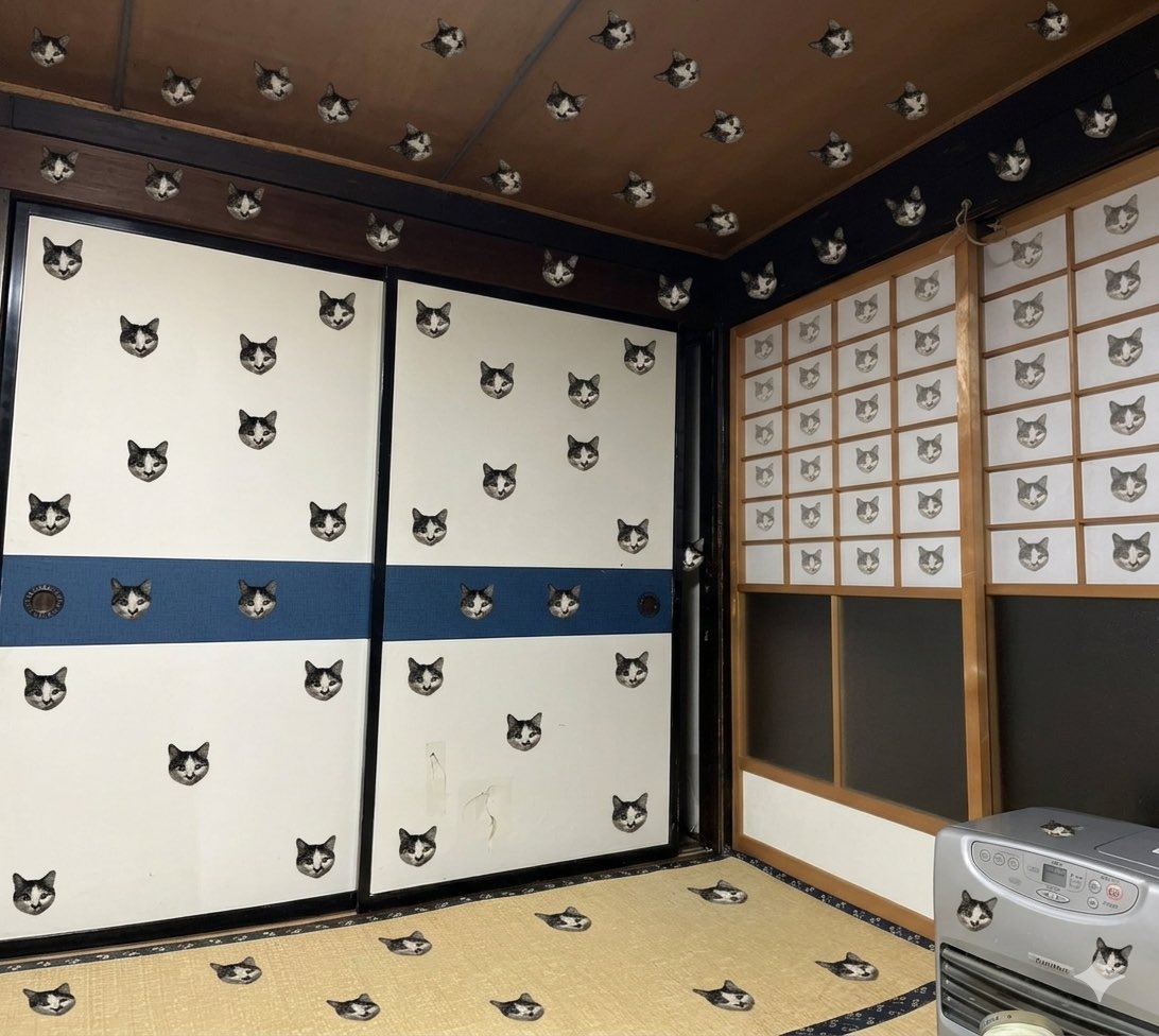 MelodicBrain tweet media