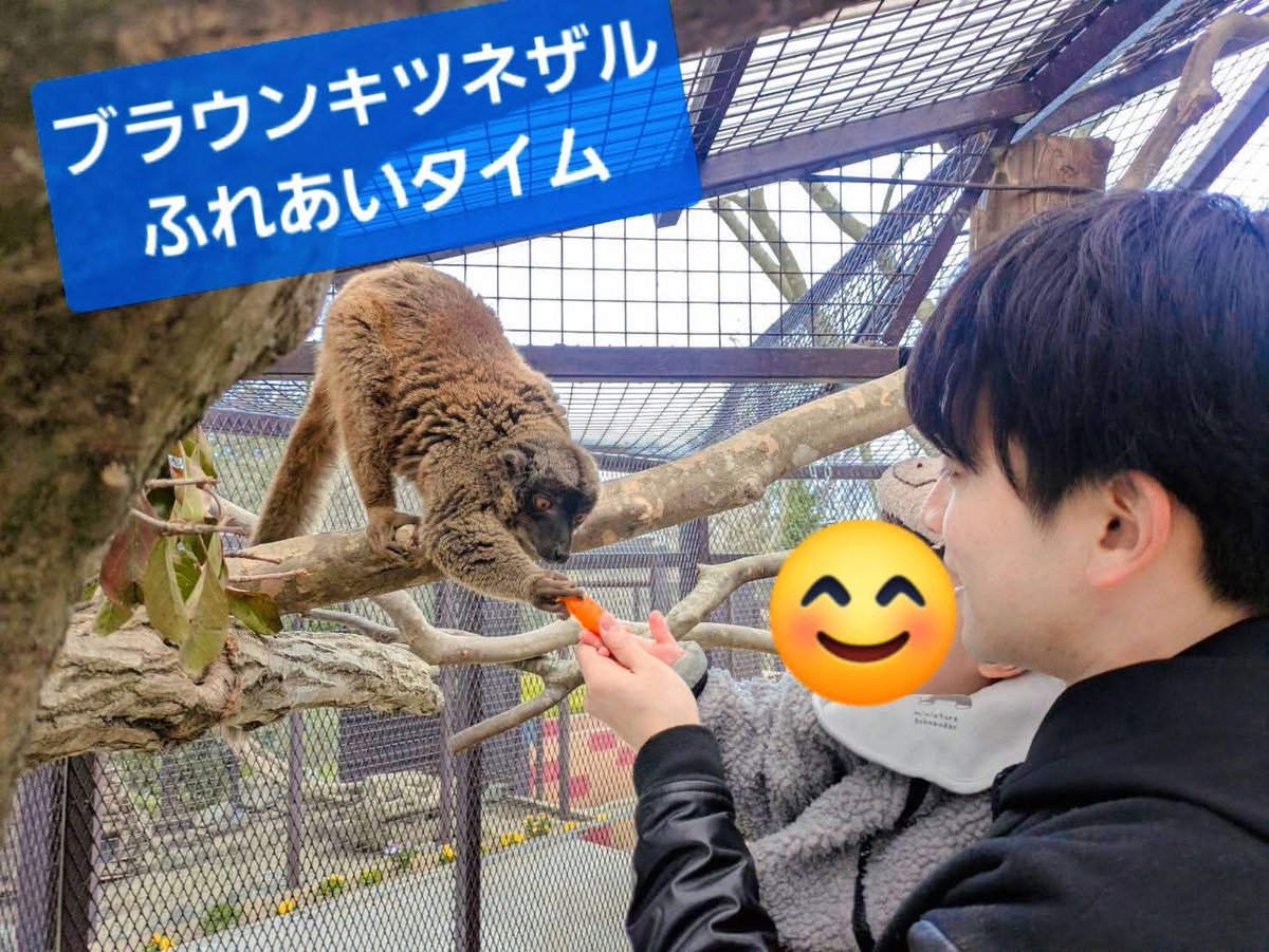 市原ぞうの国・サユリワールド【公式】 tweet media