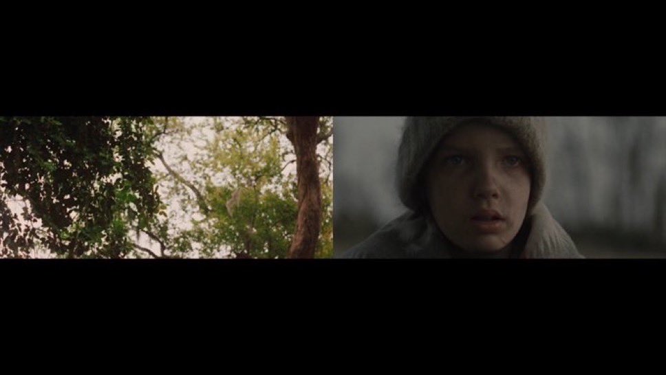 First & Final Frames tweet media