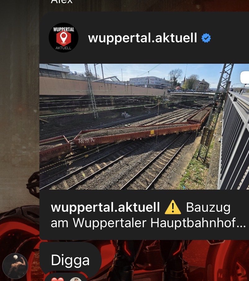 schrammi 🐠 tweet media