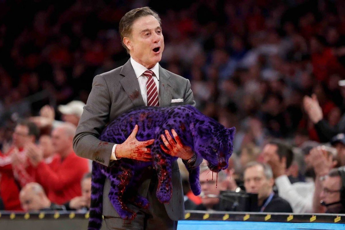 The NIL Collector tweet media