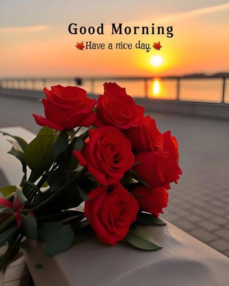 Сүрэн tweet media