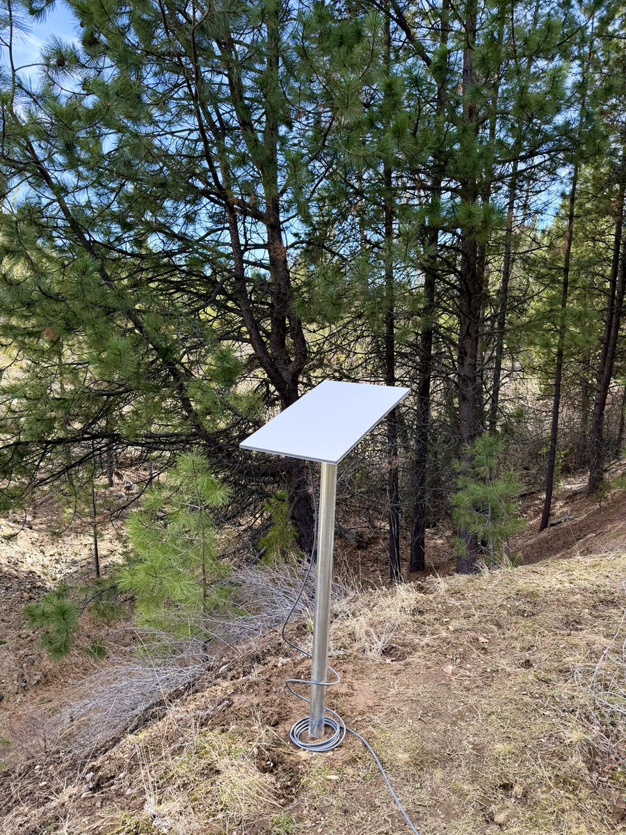 Sage of the Mountain tweet media