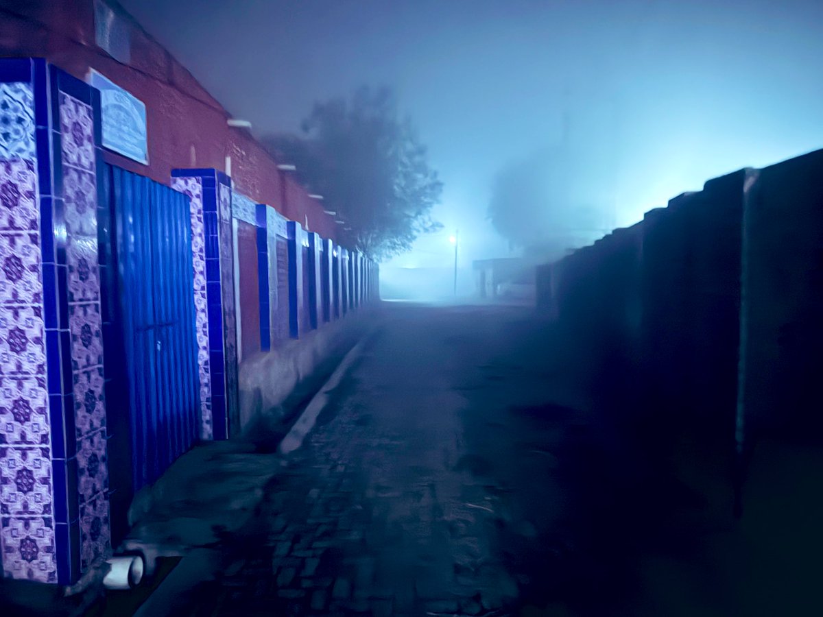 Saeed Sangri tweet media