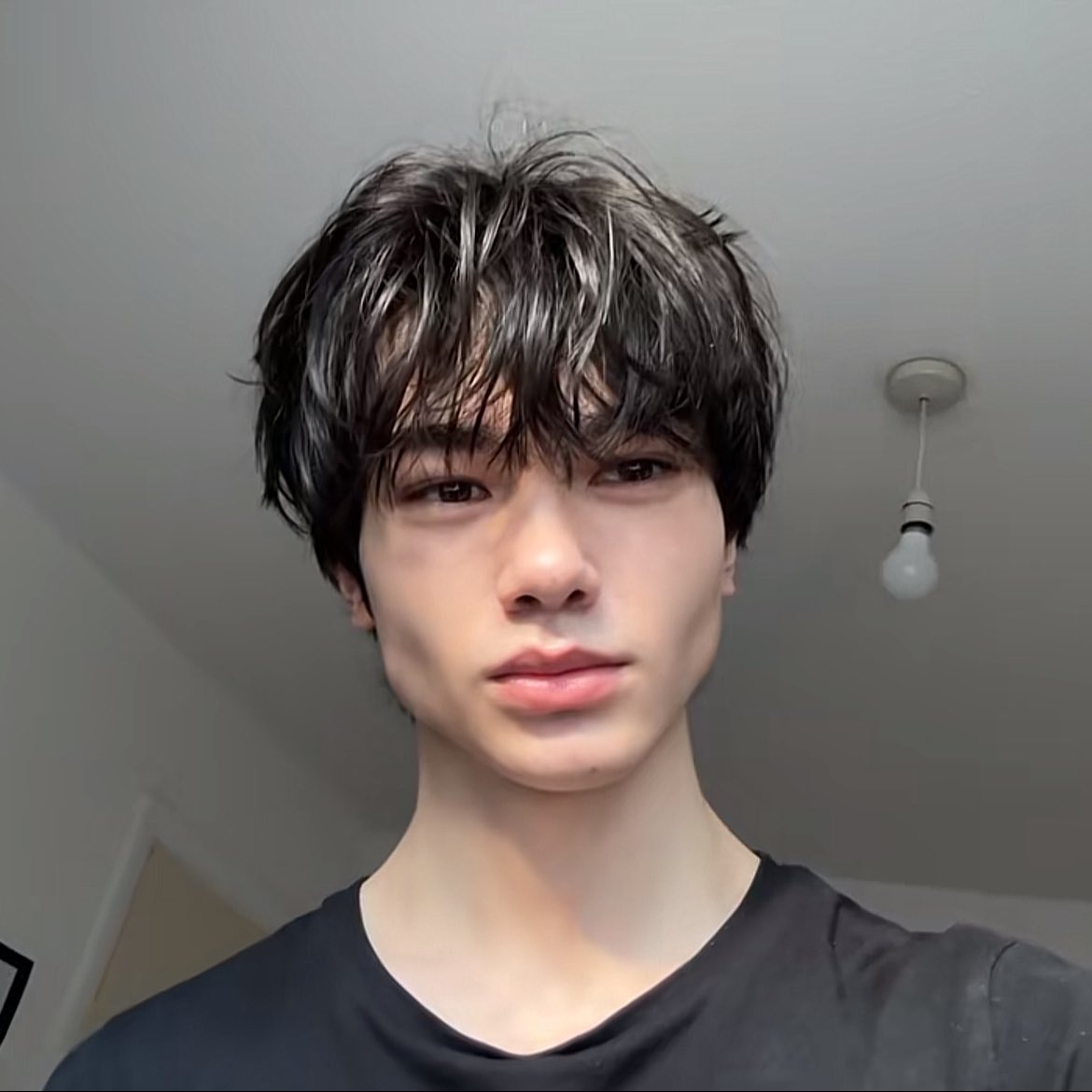 kazakh hamster tweet media