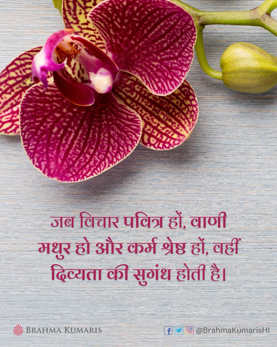 BrahmaKumarisHI's tweet image. जब आत्मा अपने विचार, वाणी और कर्म को पवित्र बनाती है, तब व्यक्तित्व से दिव्यता सहज ही प्रकट होने लगती है। ऐसे गुण न केवल स्वयं को, बल्कि आसपास के वातावरण को भी शांति और सकारात्मकता से भर देते हैं। आज आप अपने जीवन में कौन-सा एक गुण और धारण करेंगे ?
#brahmakumaris #bkhindi #thought