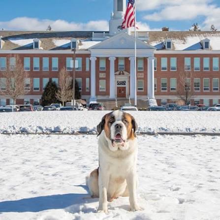 John Rap tweet media