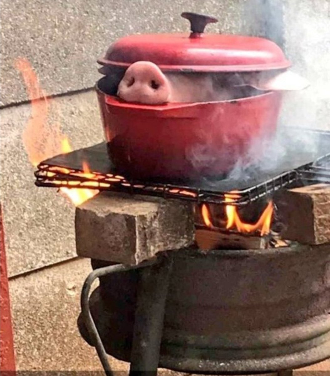 Williams Parthenope tweet media