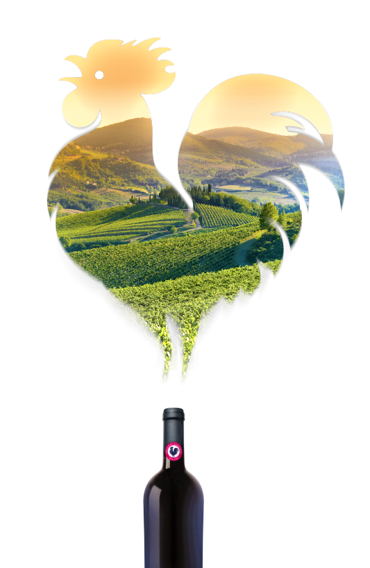 wineworldnews's tweet image. Chianti Classico Riserva – the Crowd Pleaser tinyurl.com/2u45h3pw via @WineSearcher #vino #wine #winetasting #wineworldnews