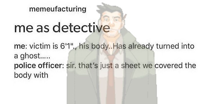 phoenixwrong tweet media