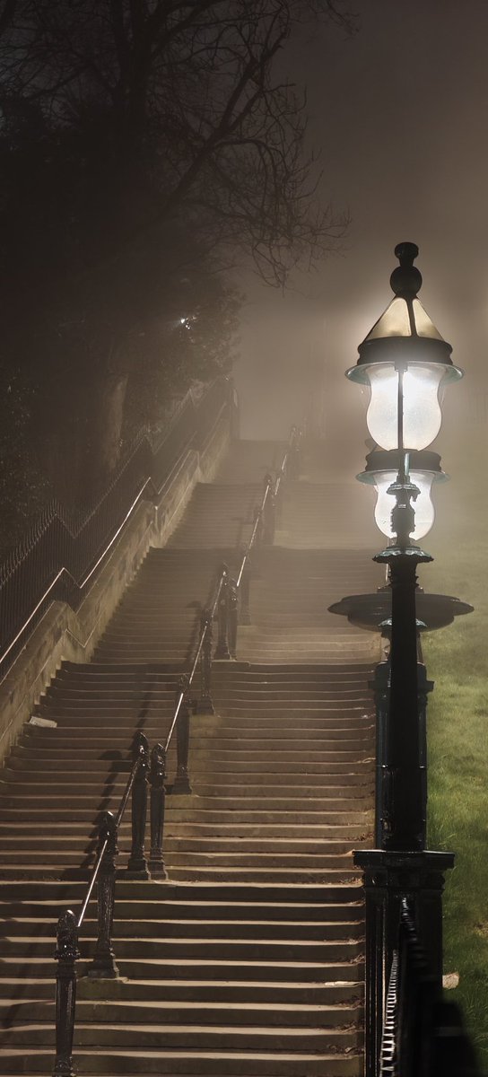 Lisa | Virtual Photography tweet media