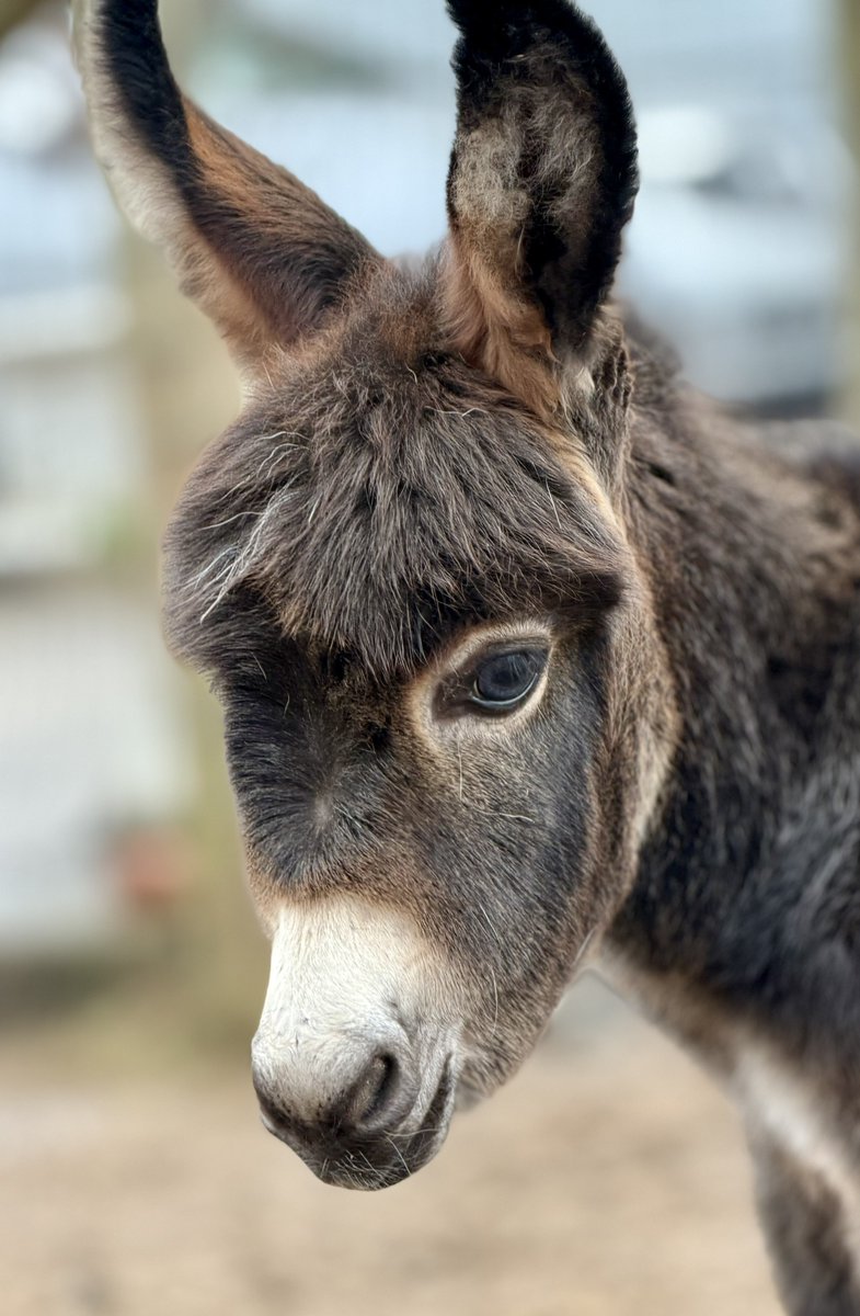 Courtney tweet media