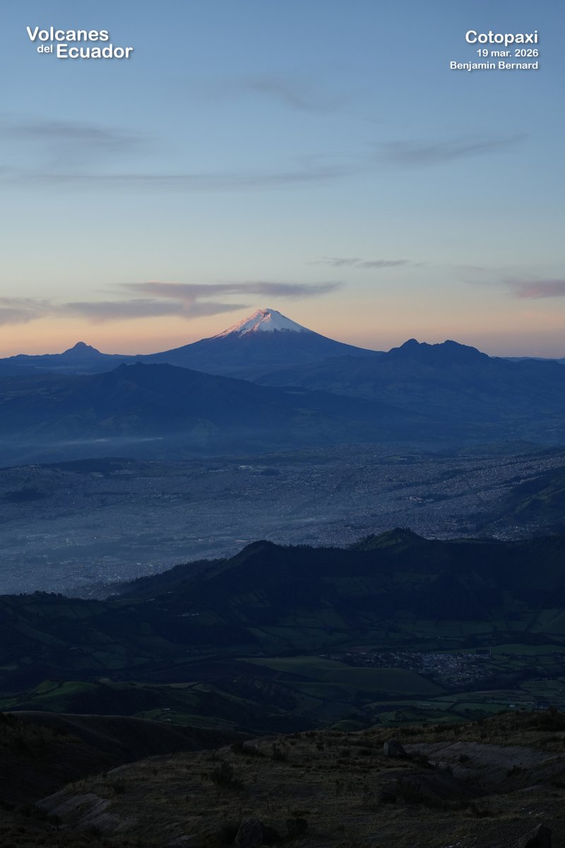 Benjamin Bernard tweet media