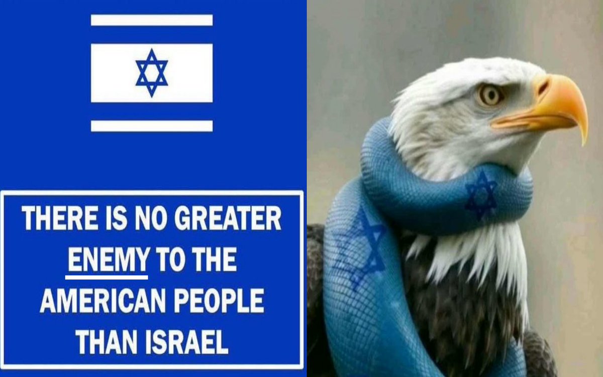 JamesKaneInFlorida tweet media