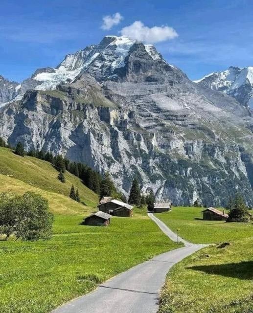 Magical views tweet media