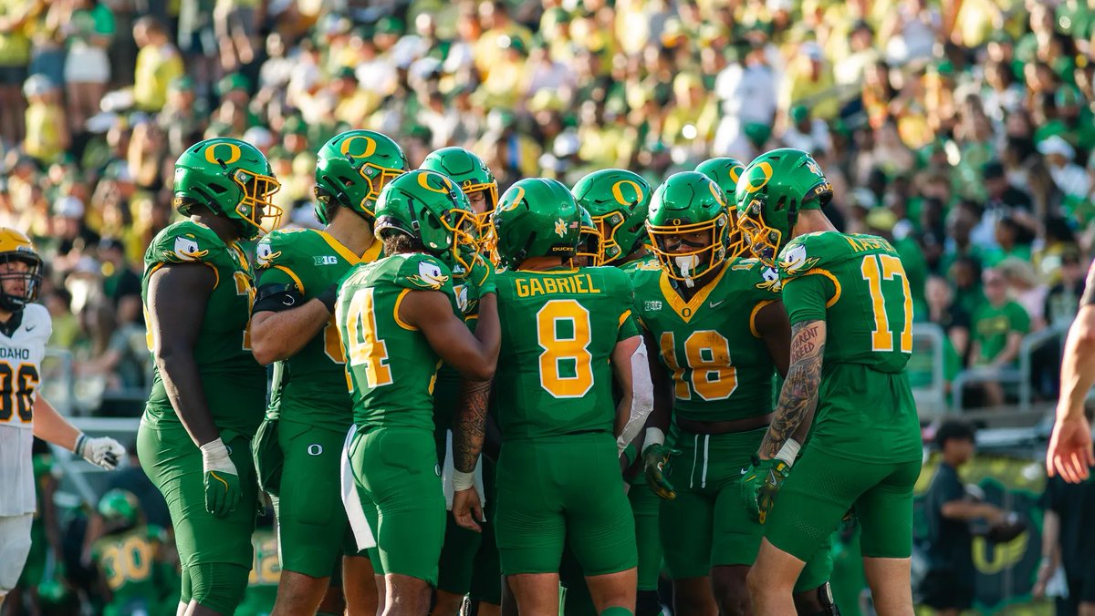 Luke Starcevic tweet media