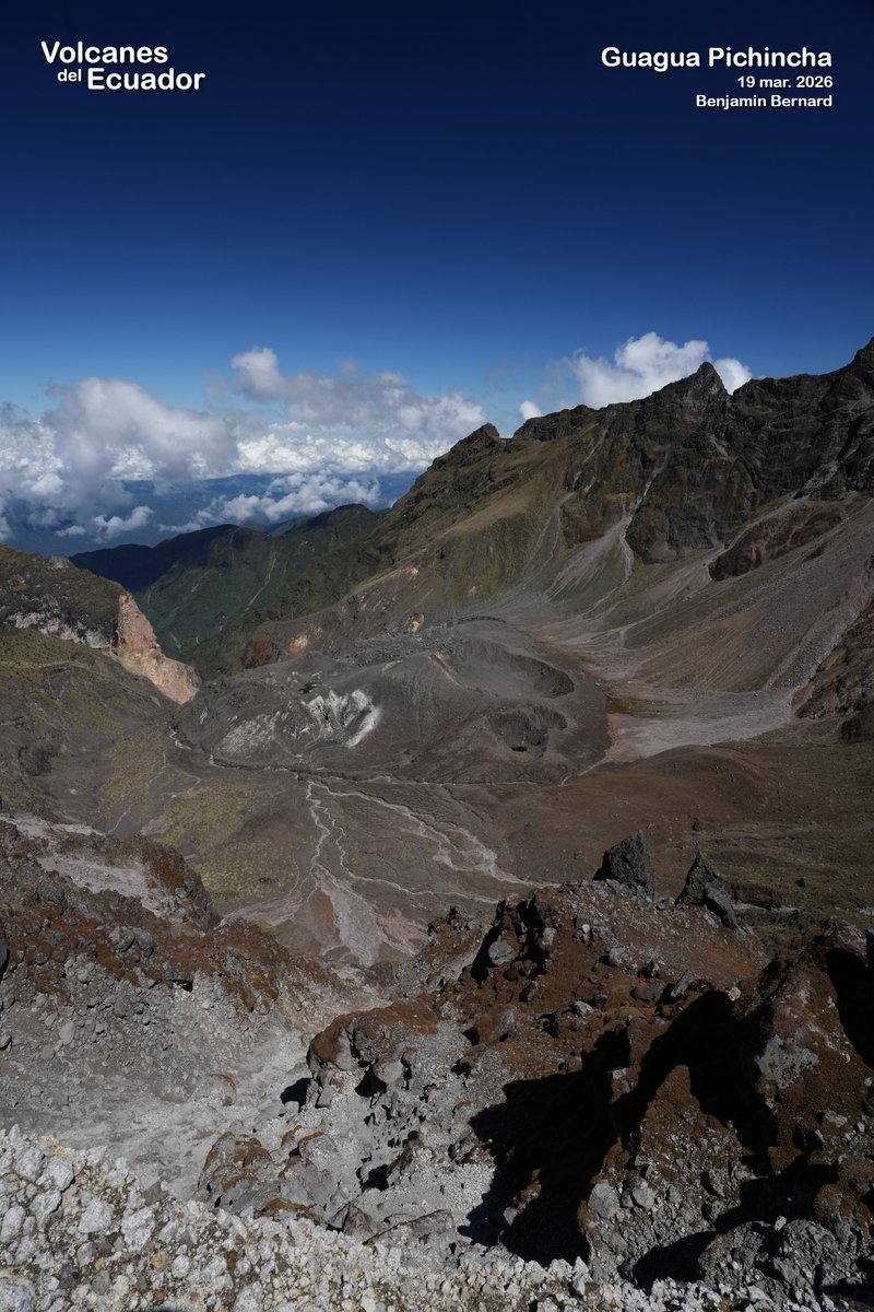 Benjamin Bernard tweet media