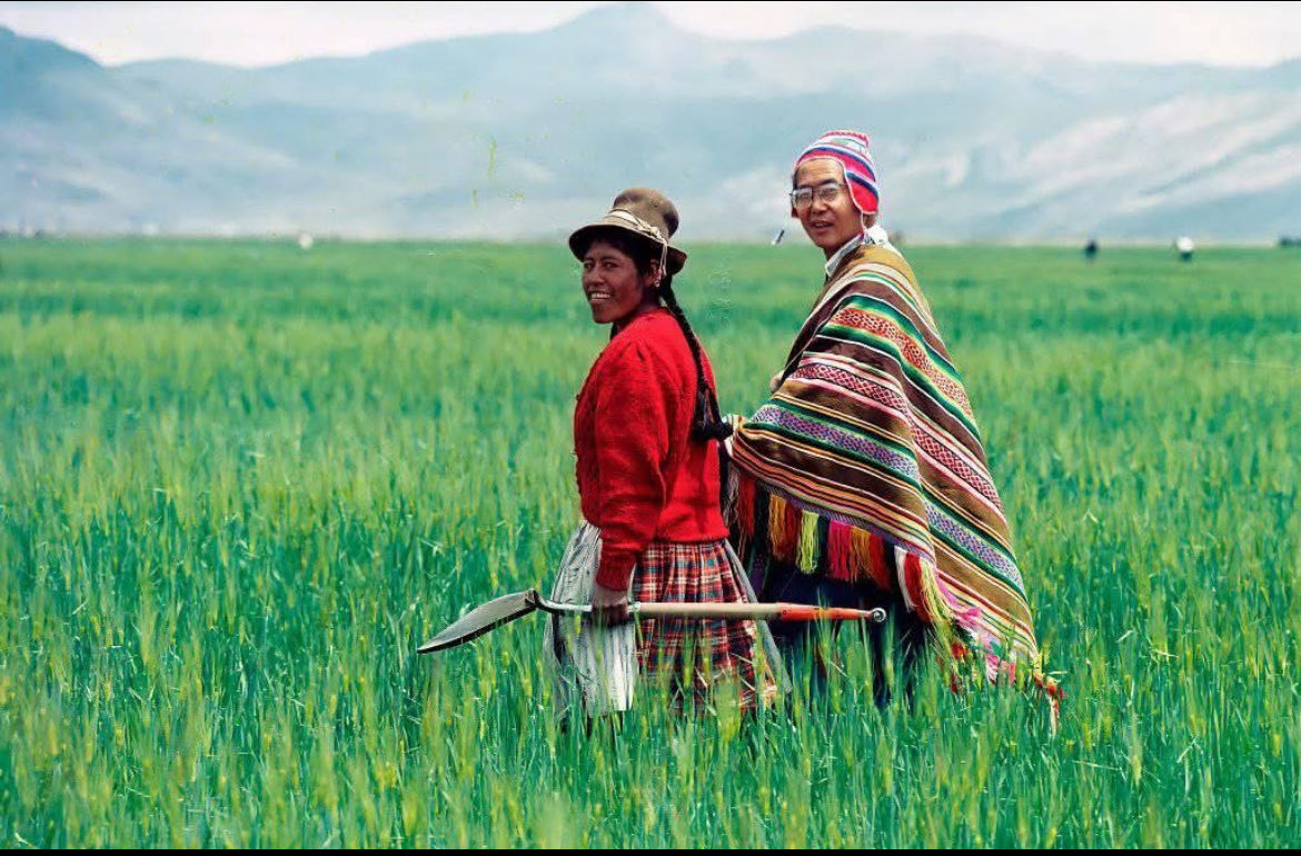 César Astudillo Salcedo tweet media