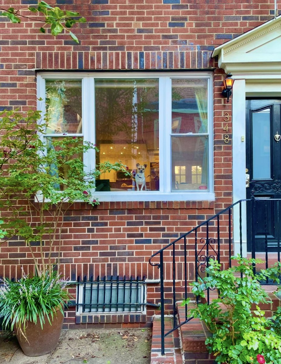 Sean Duffy tweet media