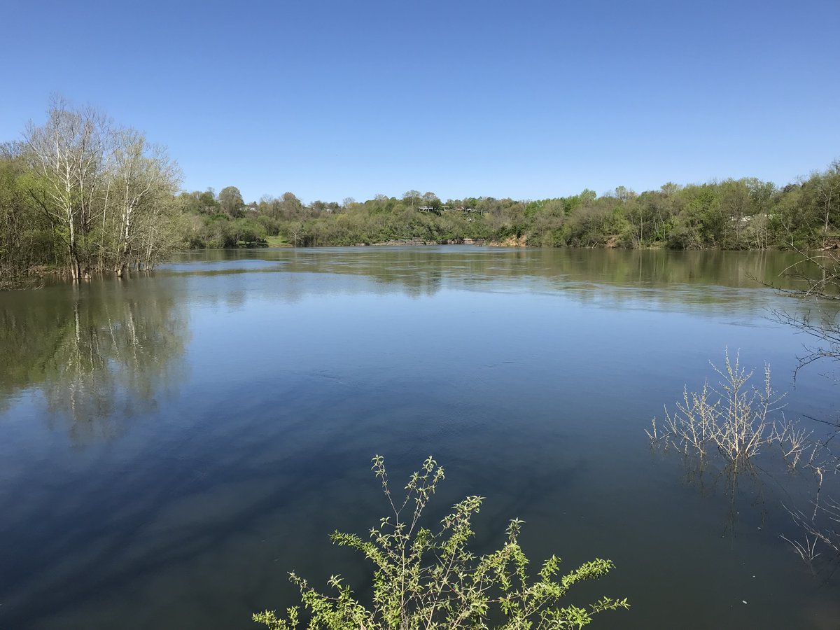 Ray Salmon tweet media