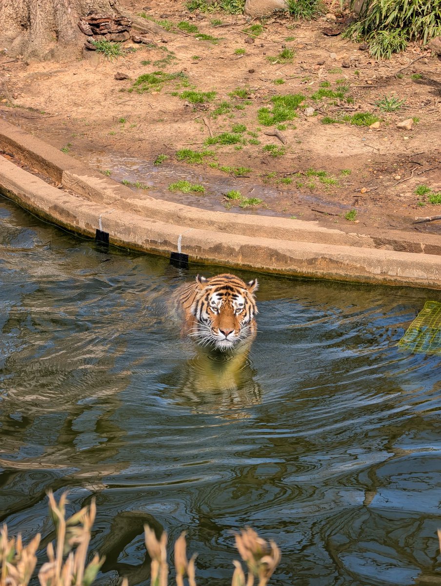 you WILL vote for harm reduction tweet media