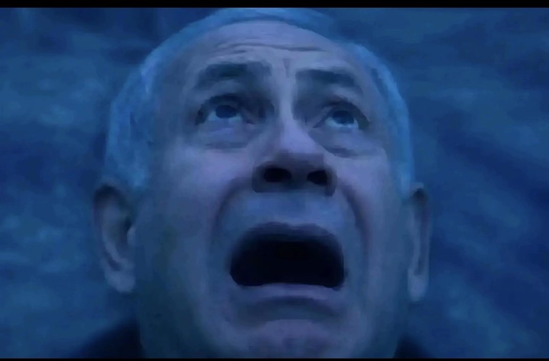 🌎Gaia 🌌🪶🖖🏻 tweet media