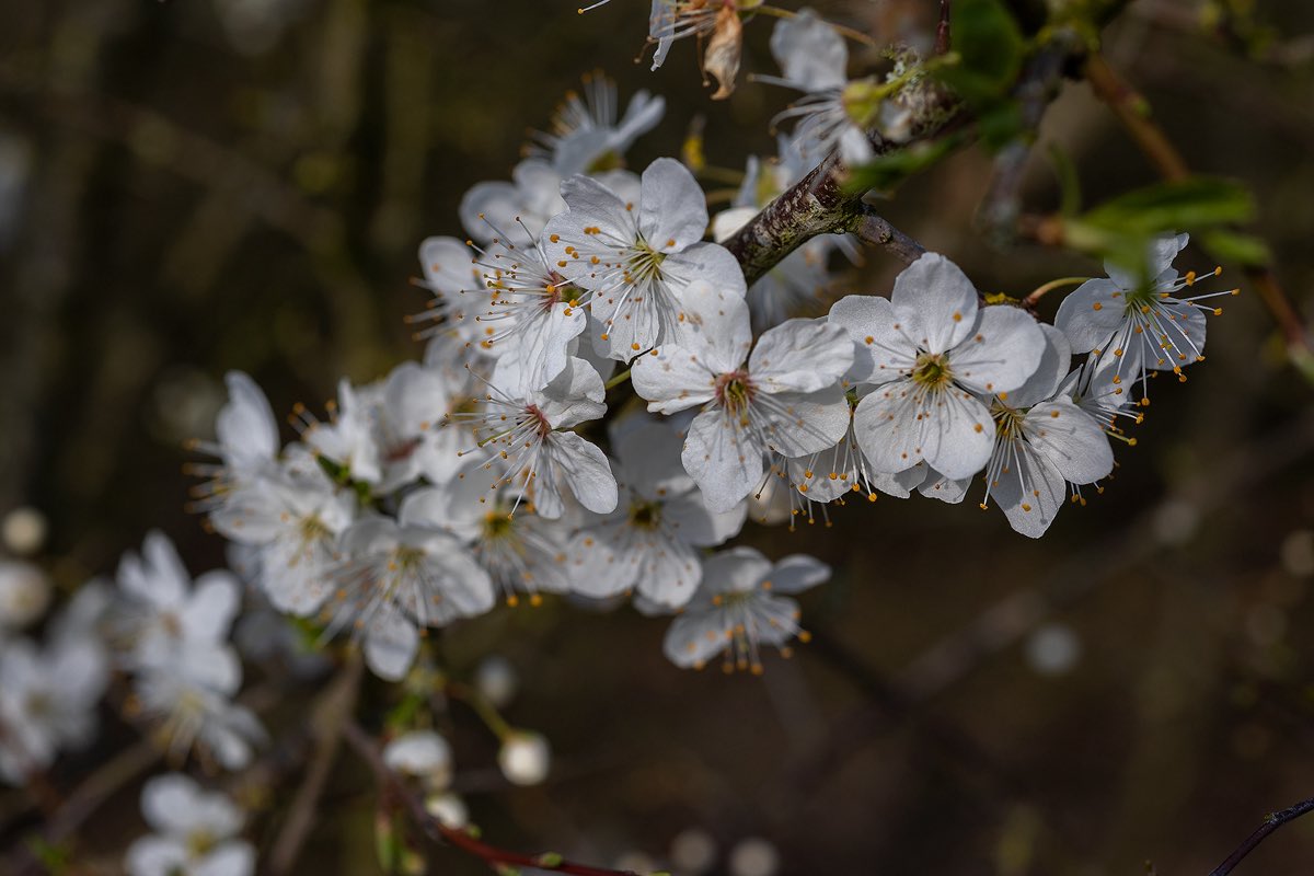 Tim Slater tweet media