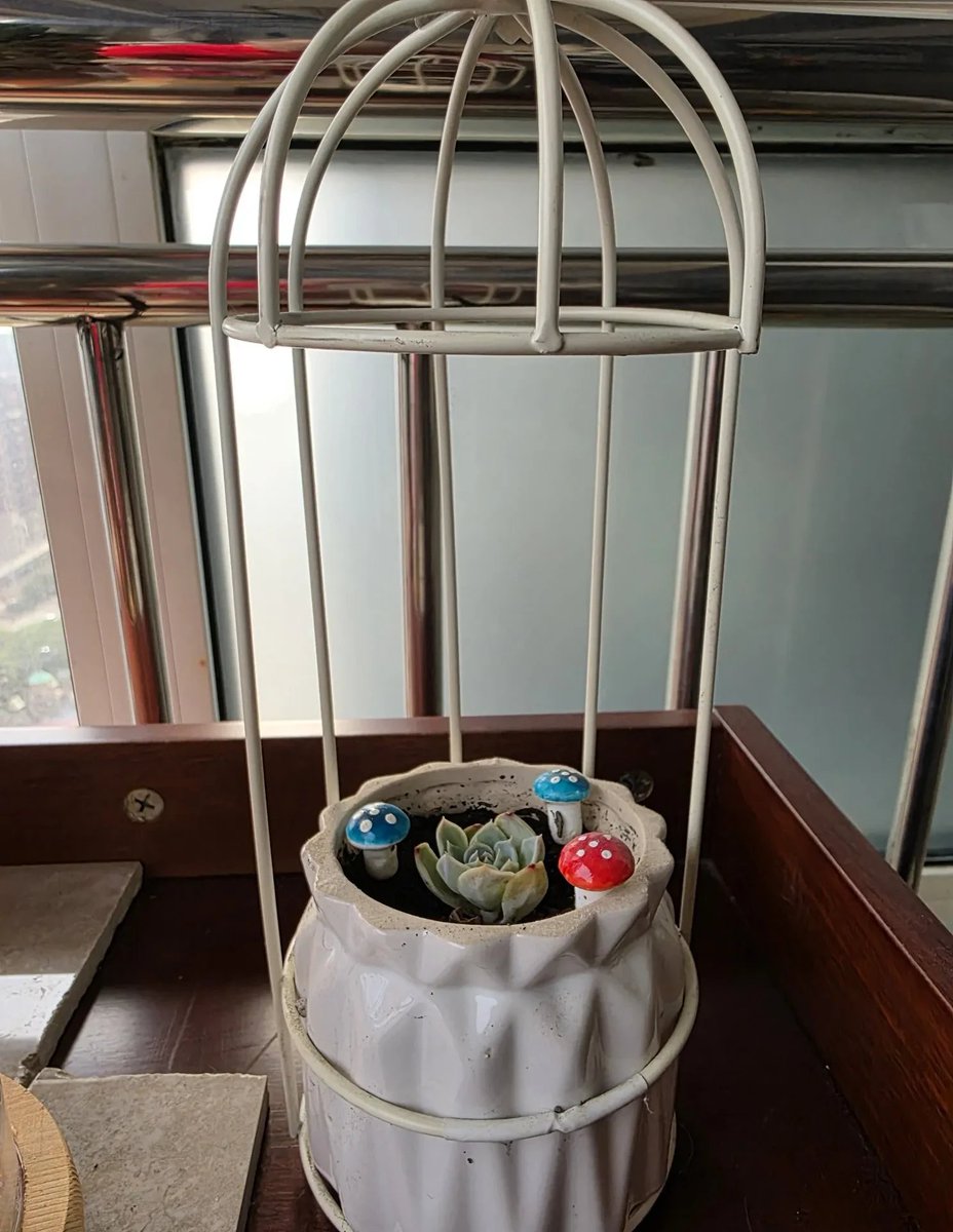 Robert jackson tweet media