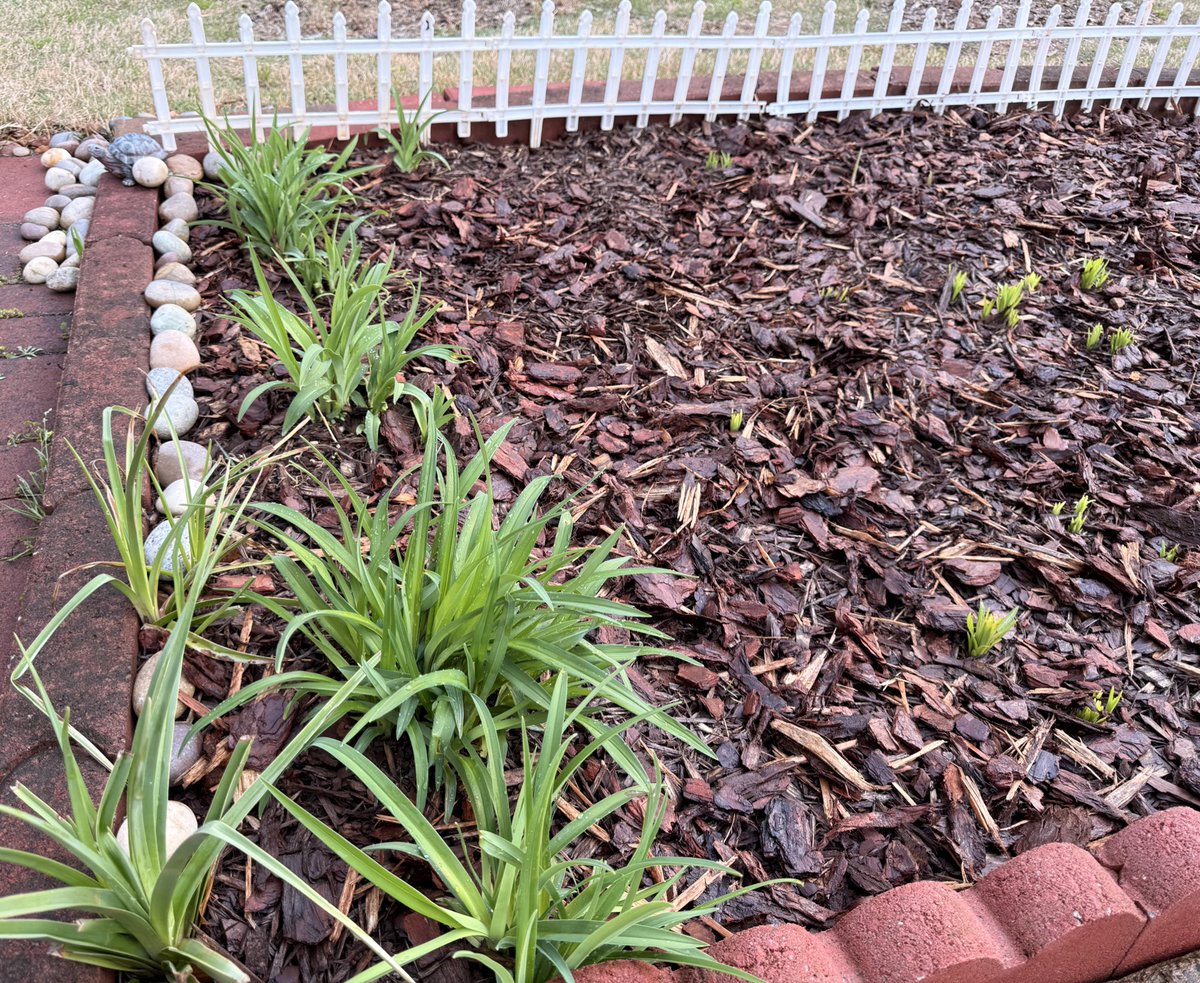 Ruby 🇺🇸 tweet media