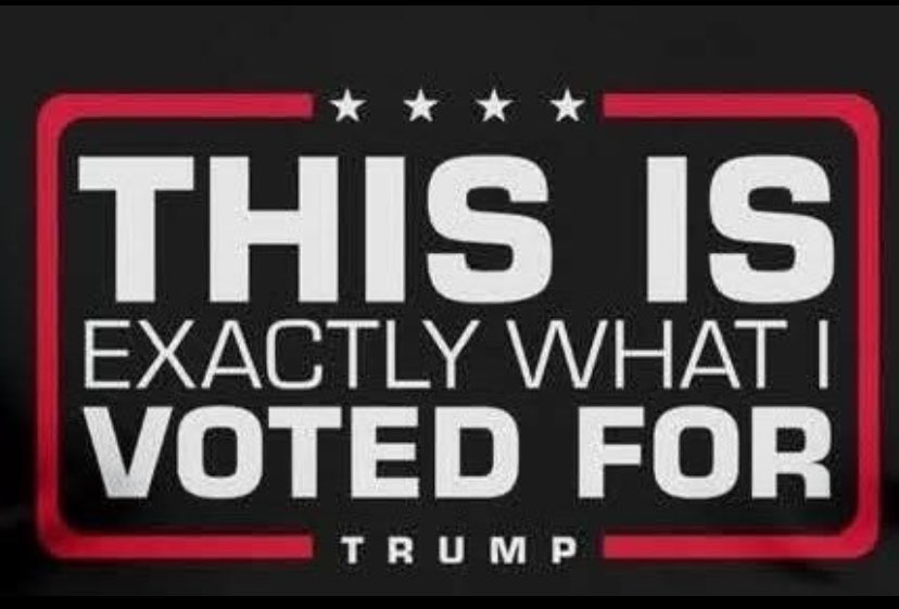 American Revivalist tweet media