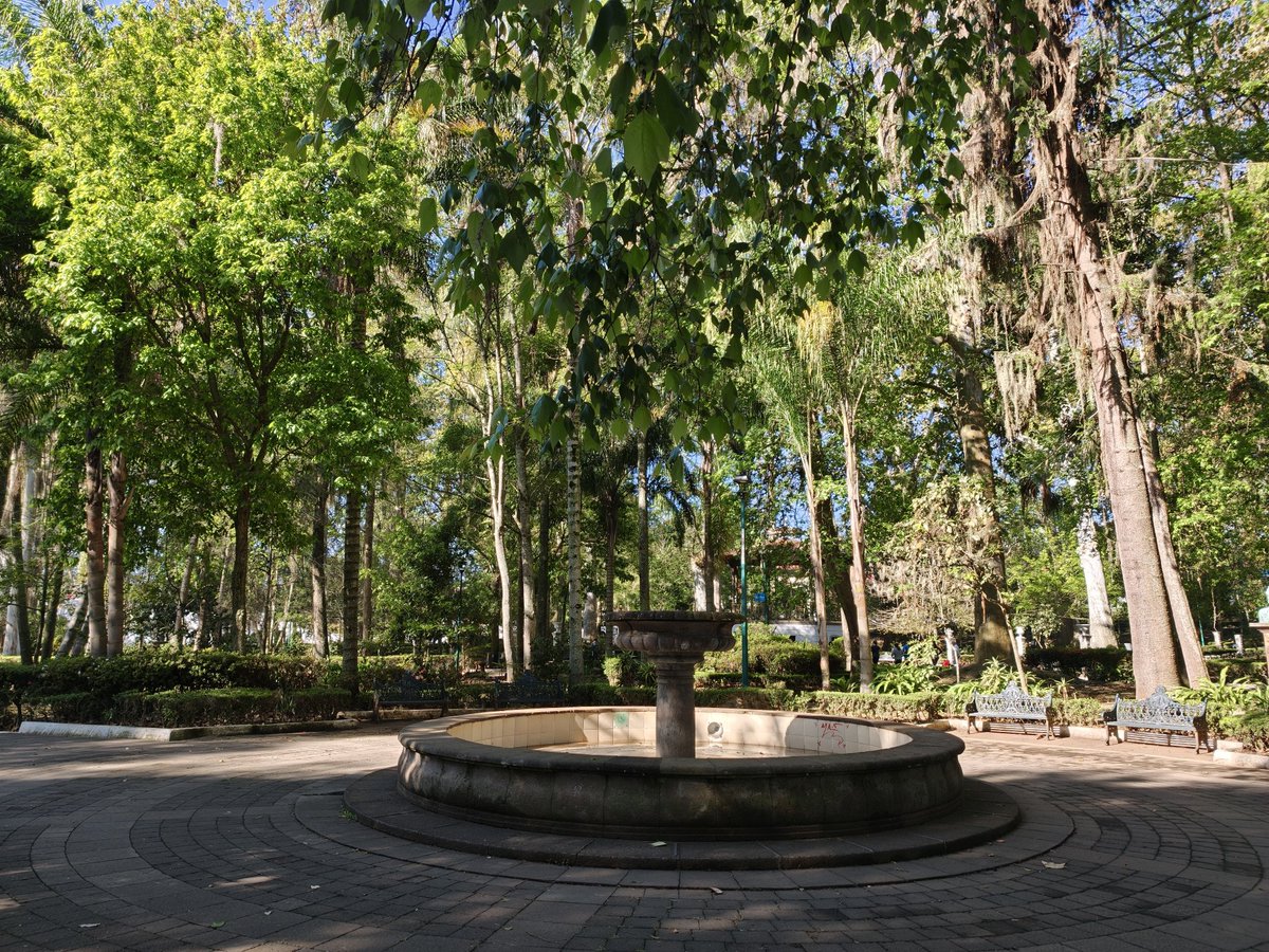 ZEERICKZ's tweet photo. Recorrer cada espacio de este parque te regenera el alma,mente y cuerpo.

Conocen este lindo parque en la ciudad de Xalapa? https://t.co/d0zzd59U7i