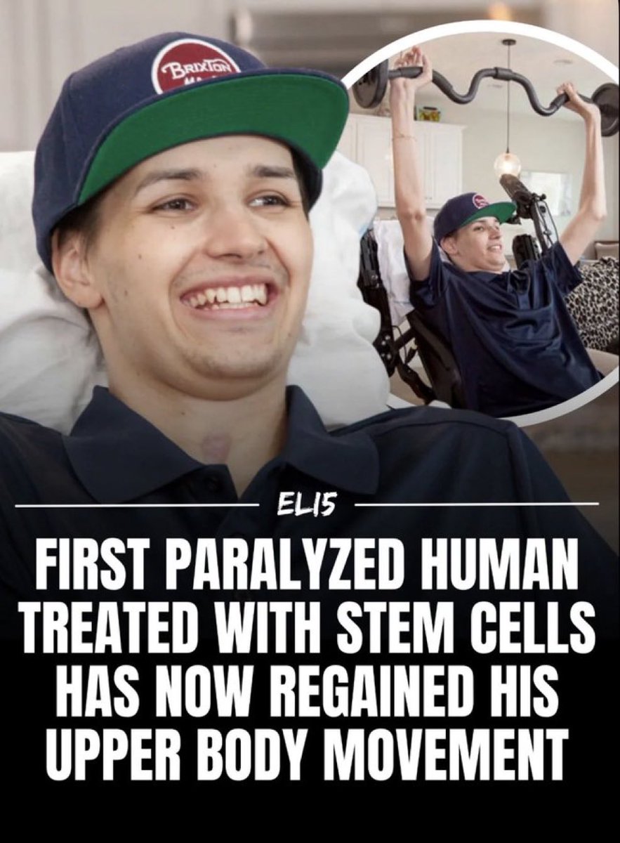 Tiffany Fong (serious-ish) tweet media