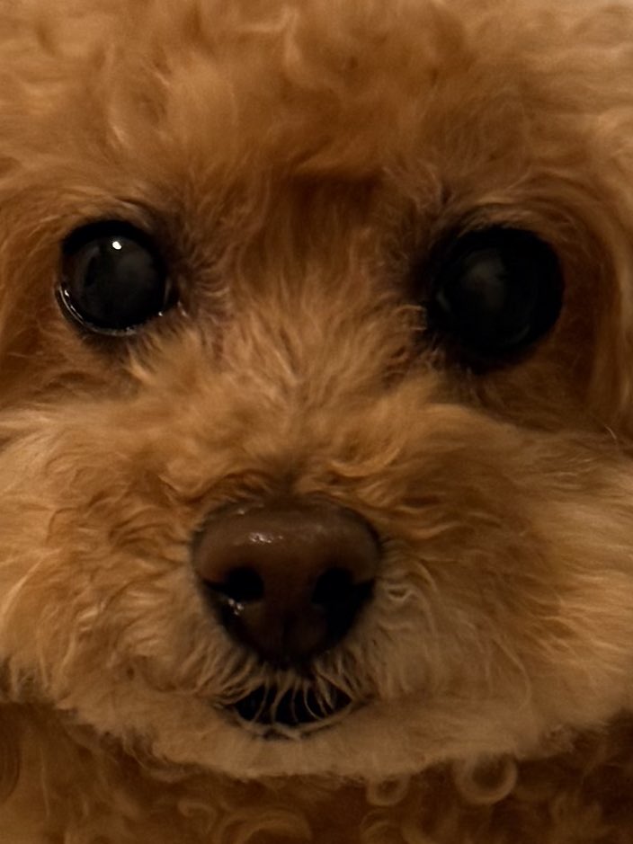 近藤夏子 tweet media