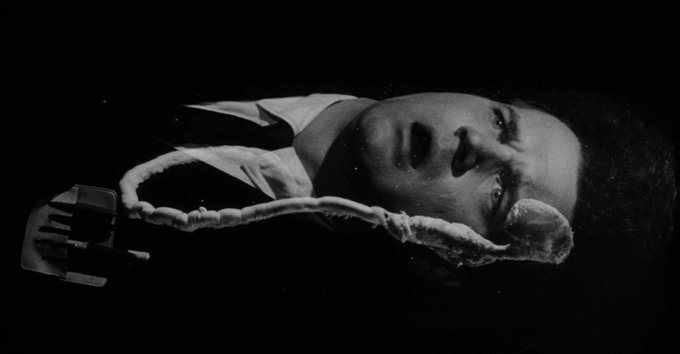 Stephen Gibbons tweet media