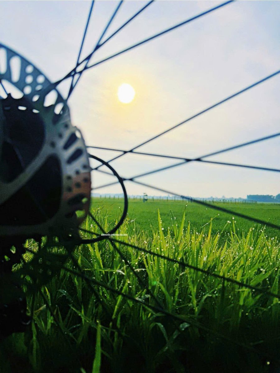 Nguyễn Nguyên Gia Bảo tweet media