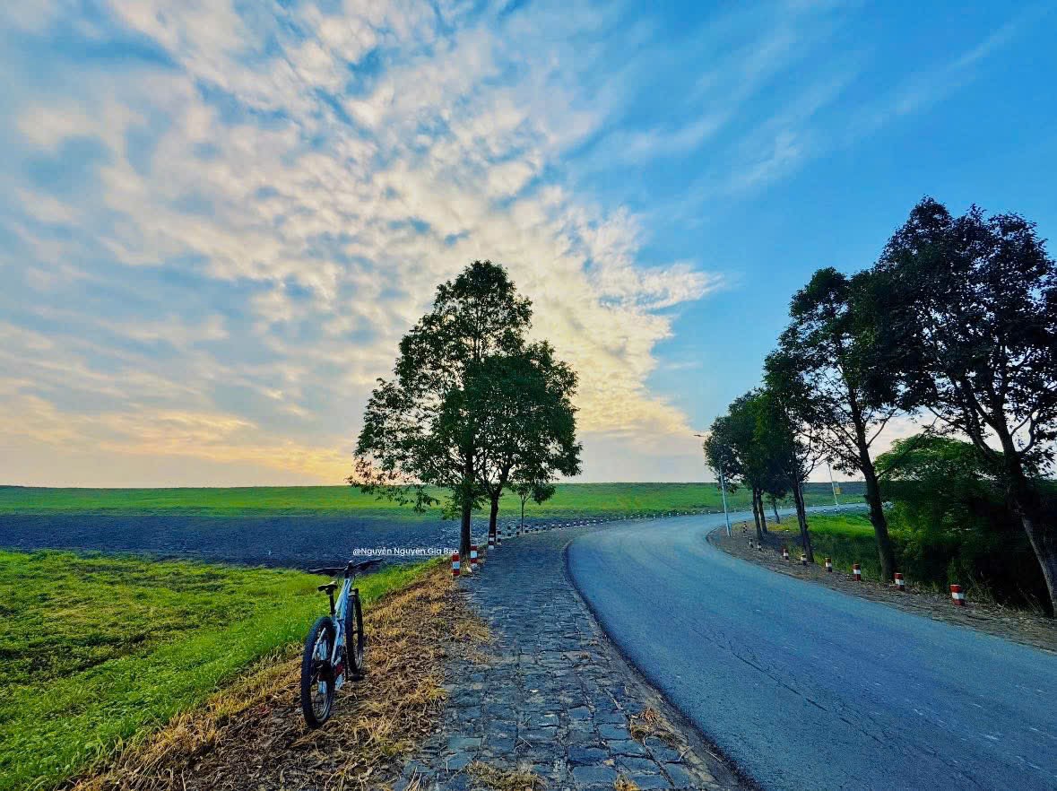 Nguyễn Nguyên Gia Bảo tweet media