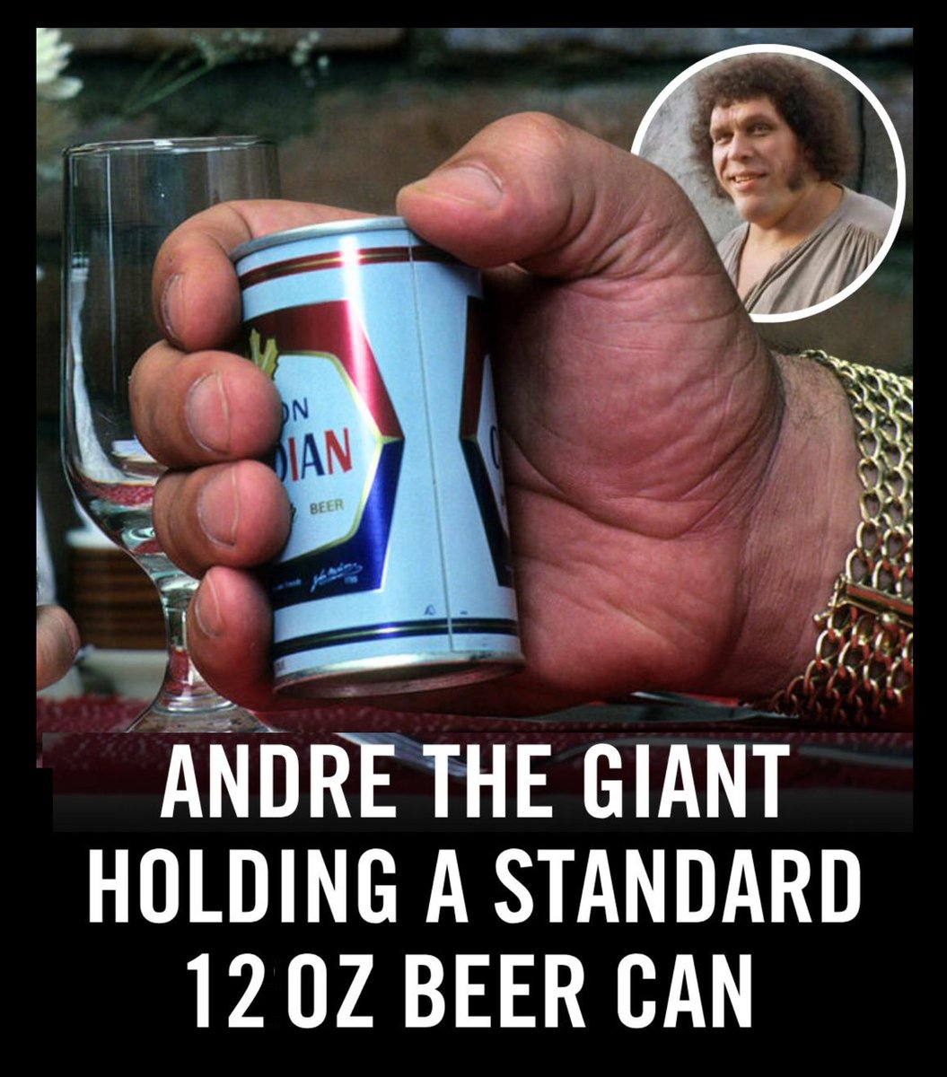 Funhouse tweet media