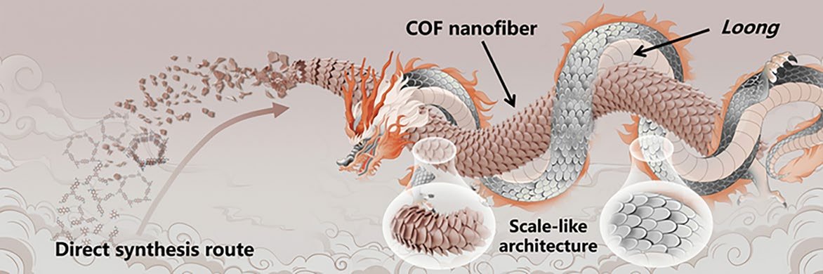 Nano-Micro Letters tweet media