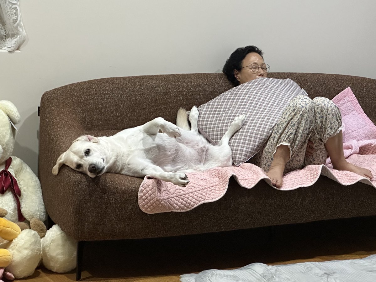 지구별 음식 섭취 중 tweet media