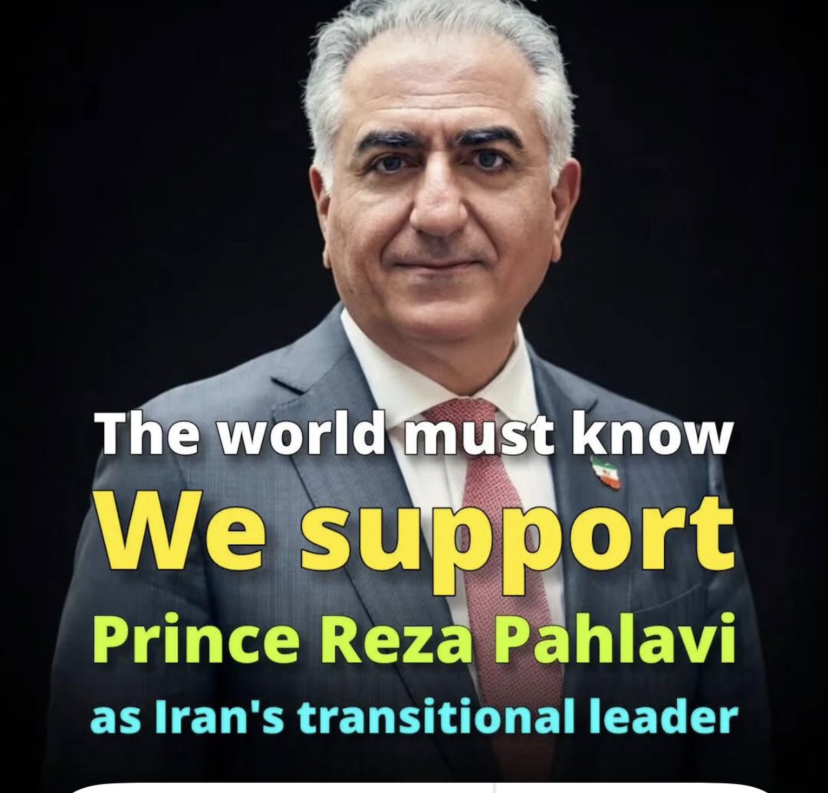 Elham Farshad tweet media