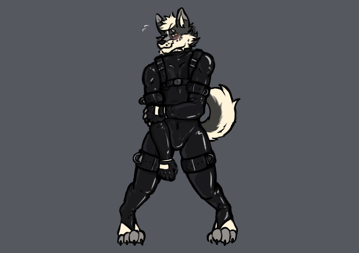 Blue Fella AD tweet media