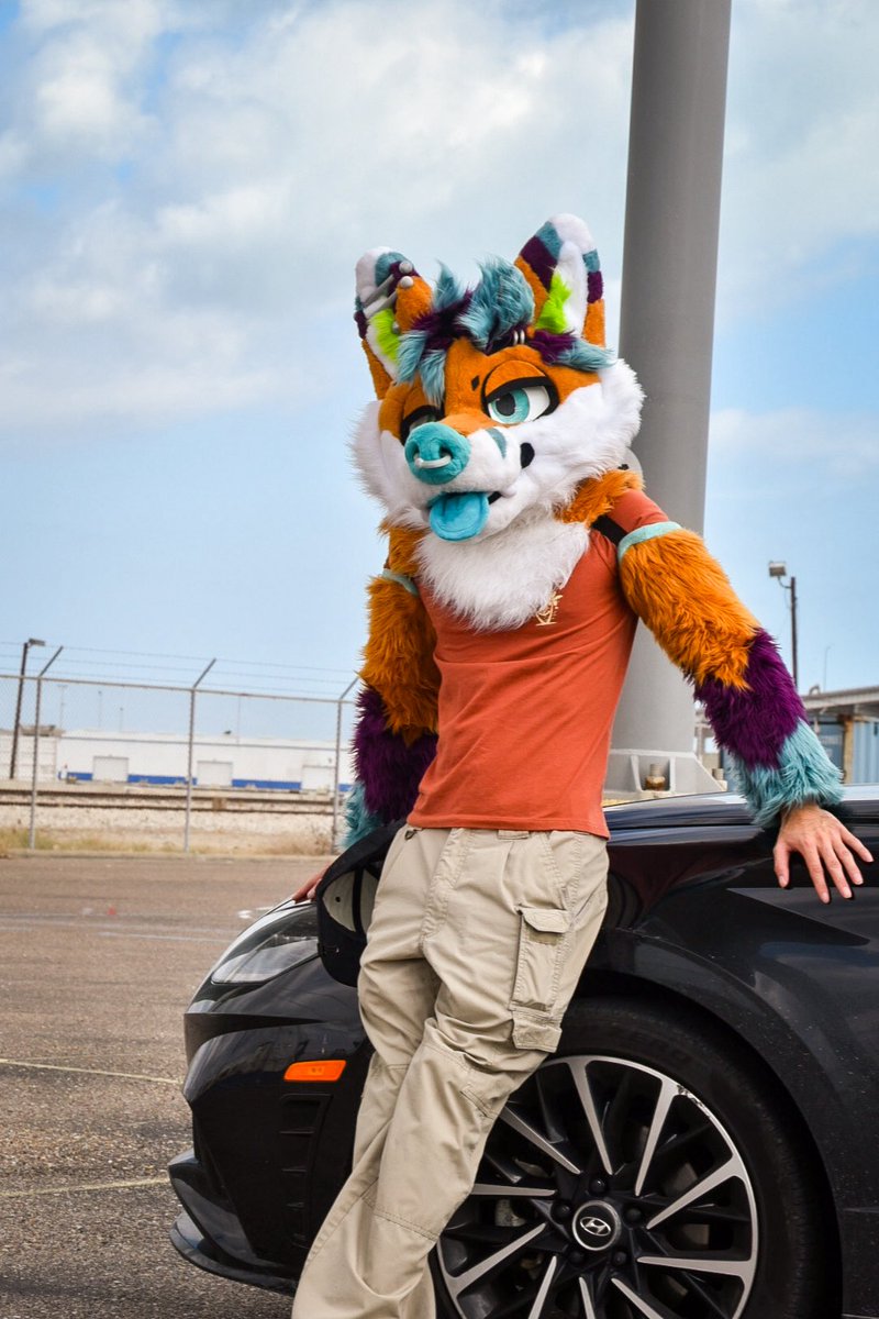 ⚕️Frisky 🔜 TFF 26’⚕️ tweet media