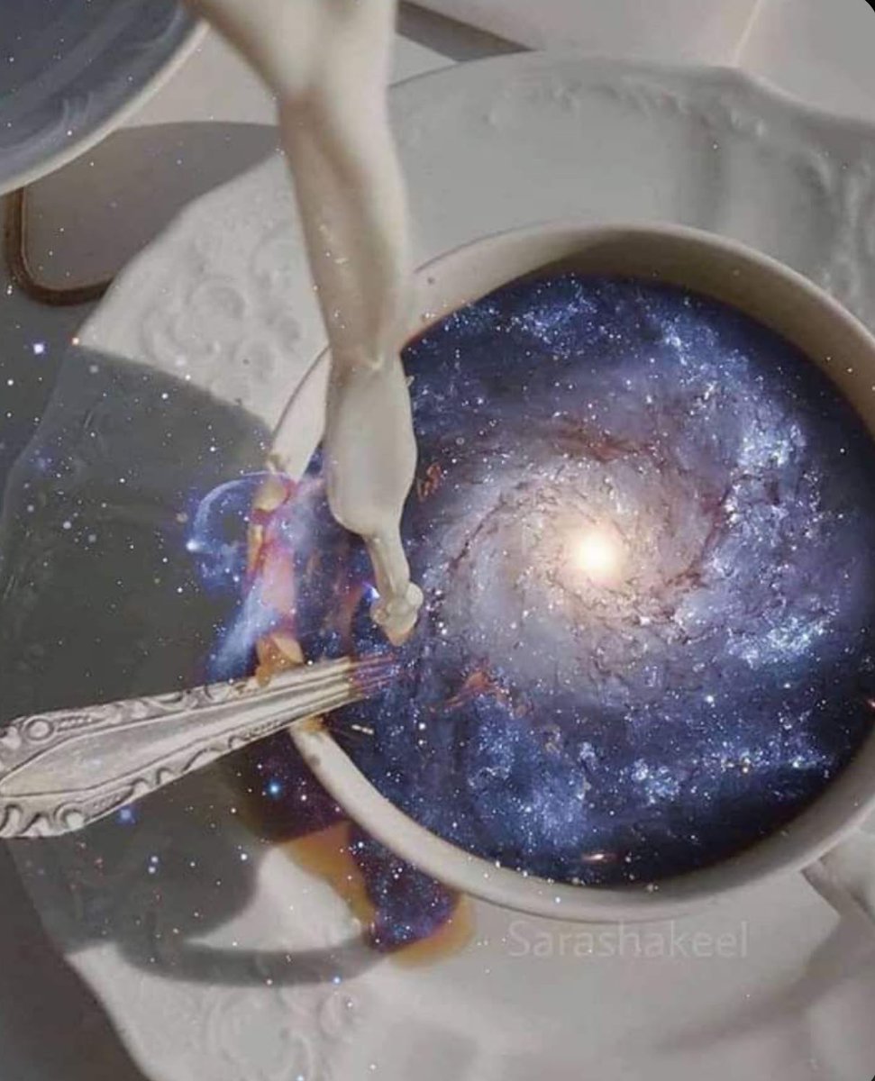 Elle Lookbook tweet media