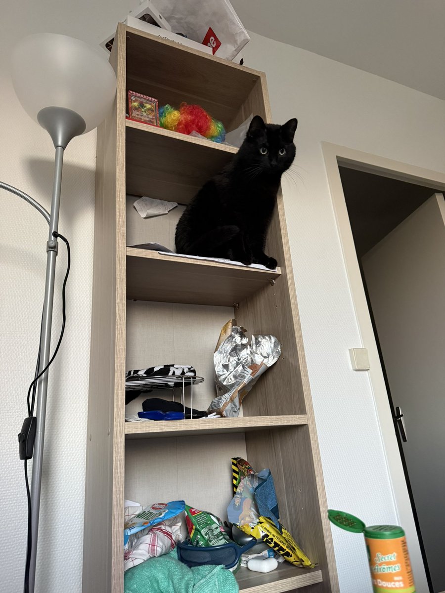 v𝖔𝖑𝖔𝖉𝖎𝖆☽ tweet media