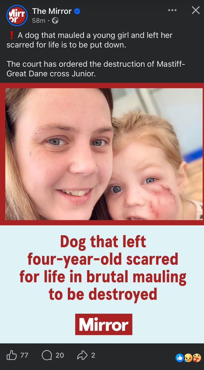 Shopping list Liz sickly sweet armed with receipts tweet media