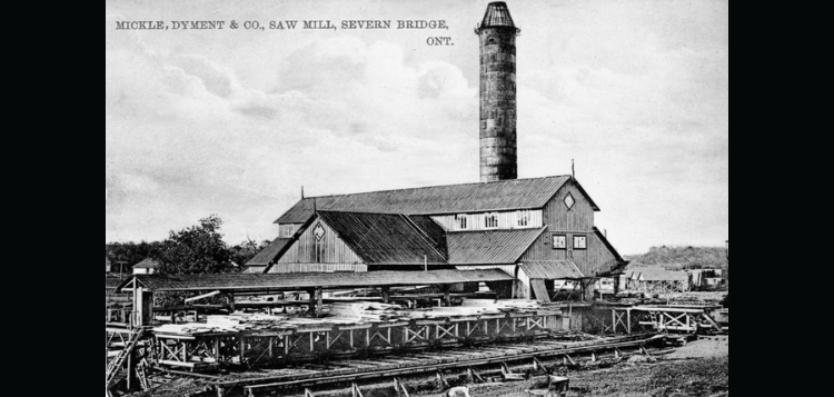 Mark Robinson tweet media