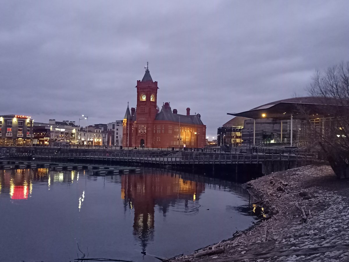 CEO Boecillo (oficial) tweet media