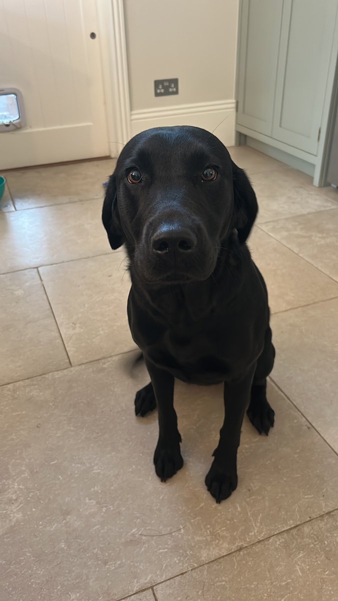 chris towers tweet media